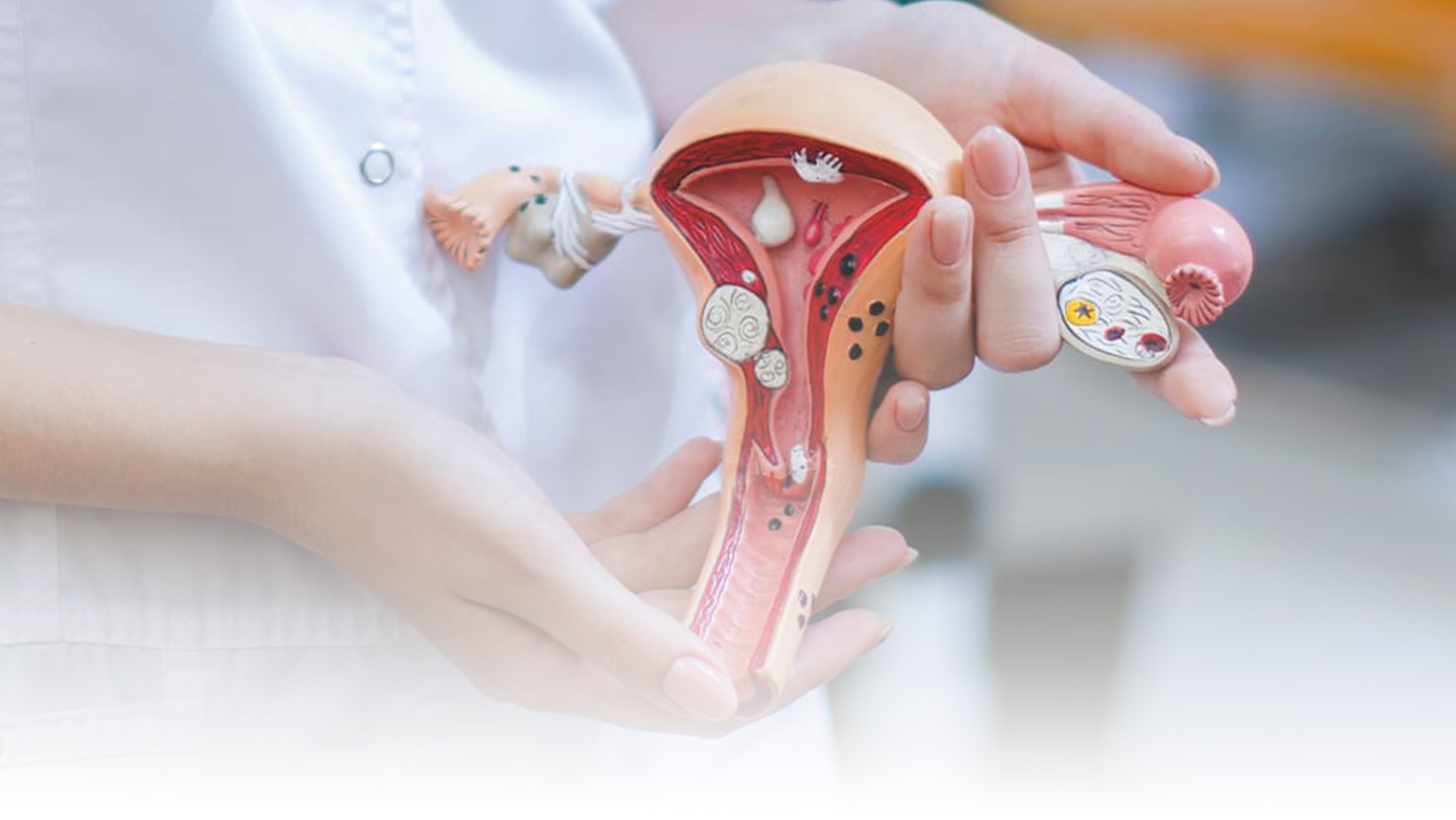 health connection, salud, checkup, ginecología